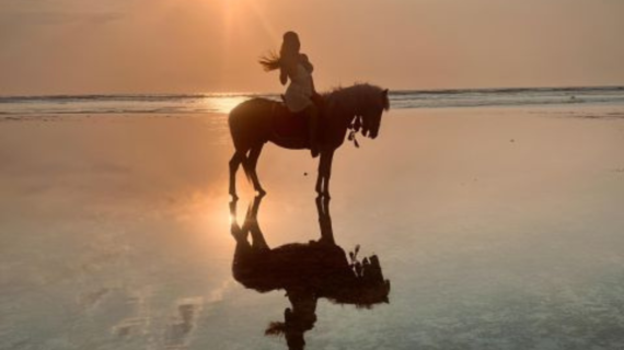 Horse Riding Gili Trawangan, Gili Air and Gili Meno