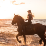 Horse Riding Gili Trawangan, Gili Air and Gili Meno