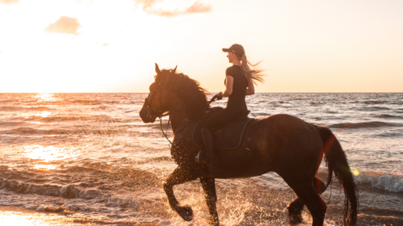 Horse Riding Gili Trawangan, Gili Air and Gili Meno