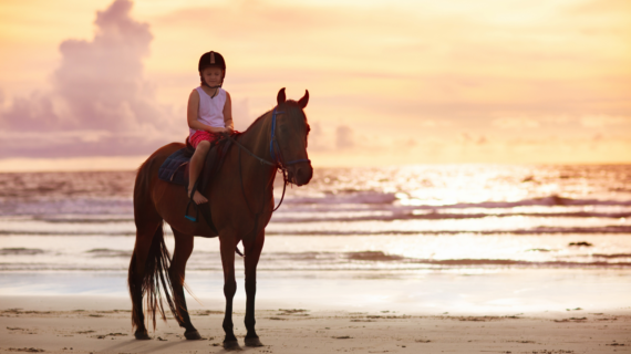 Horse Riding Gili Trawangan, Gili Air and Gili Meno