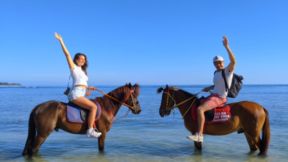 Horse Riding Gili Trawangan, Gili Air and Gili Meno