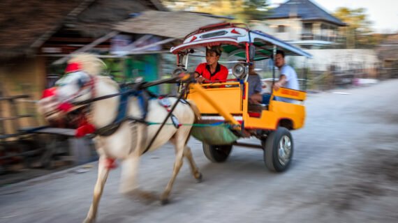 A Cidomo is a small horse-drawn carriage used in the Lesser Sunda Islands of Lombok and the Gili Islands of Indonesia