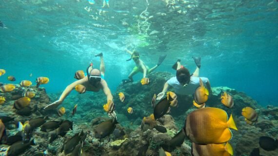 Snorkeling Gili Trawangan, Gili Air and Gili Meno
