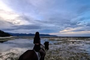 Sunrise Horseback Riding in Gili Trawangan A Magical Beach Ride with Hotel Pickup