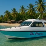 A blue and white private speed boat anchored on a quiet beach with clear water and green vegetation in the background.