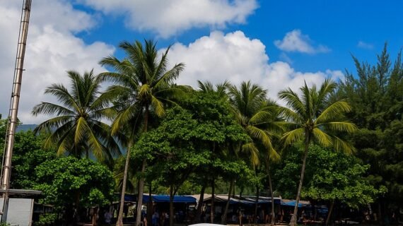 Private Speedboat from Gili Air to Gili Meno
