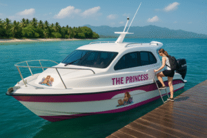 Private Boat Transfers Between Gili Trawangan to Senggigi Lombok Port