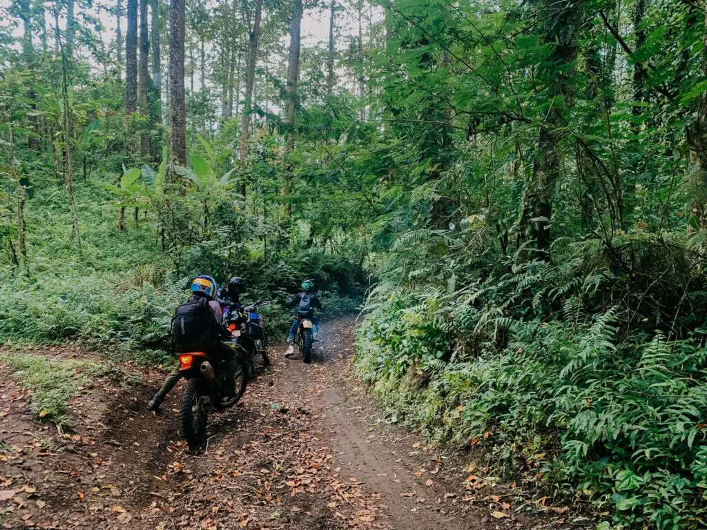 Nature scenery on Waterfall and Jungle dirt bike adventure Lombok