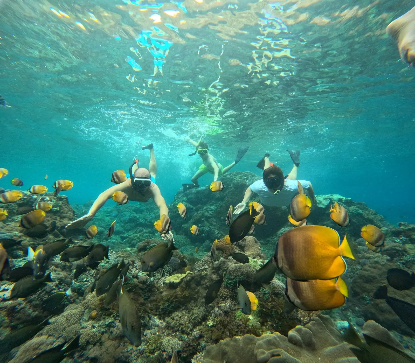 From Gili Trawangan : Snorkeling Adventure Await 3 Gili Trawangan, Gili Air and Gili Meno