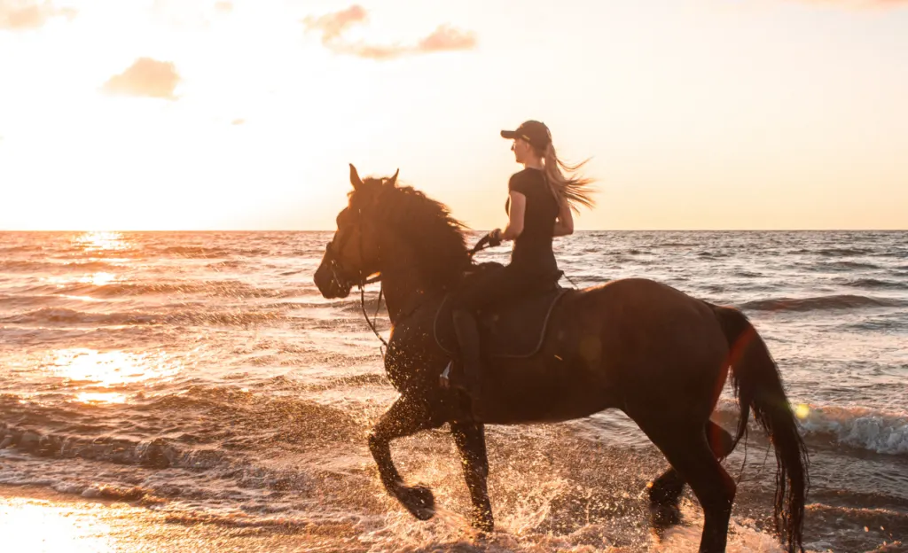 Horse Riding Gili Trawangan, Gili Air and Gili Meno