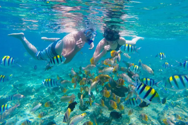Crystal-clear underwater view while snorkeling at Gili Nanggu, Lombok