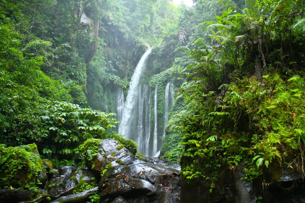 Wide cascade spray at Tiu Kelep Waterfall Lombok