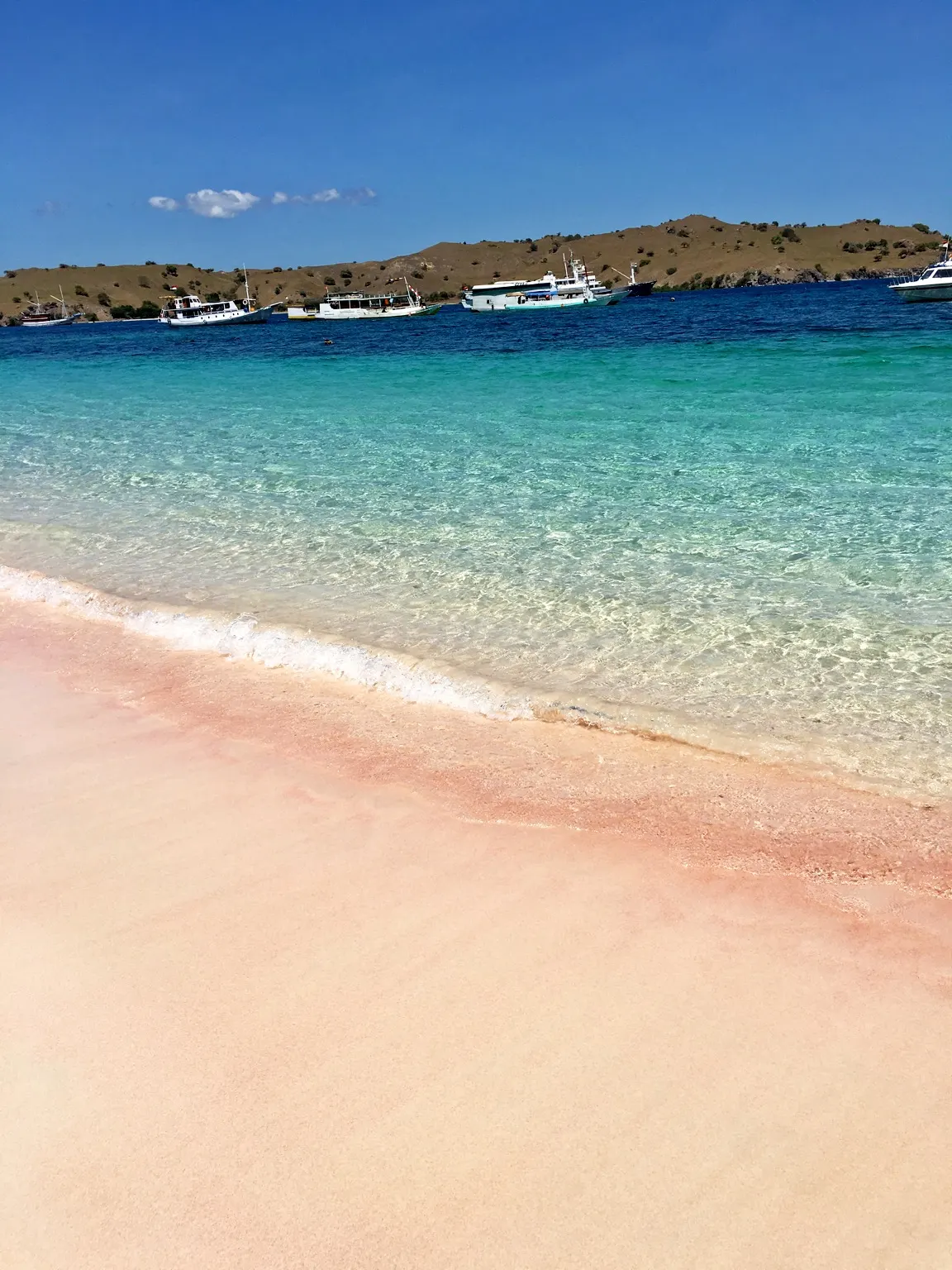 Pink sand beach Pantai Pink Lombok