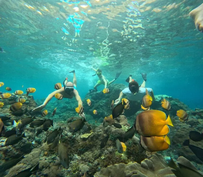 From Gili Trawangan : Snorkeling Adventure Await 3 Gili Trawangan, Gili Air and Gili Meno