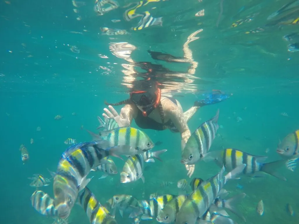 Snorkeling at Gili Nanggu, West Lombok