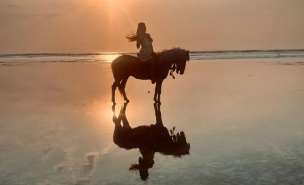 Horse Riding Gili Trawangan, Gili Air and Gili Meno