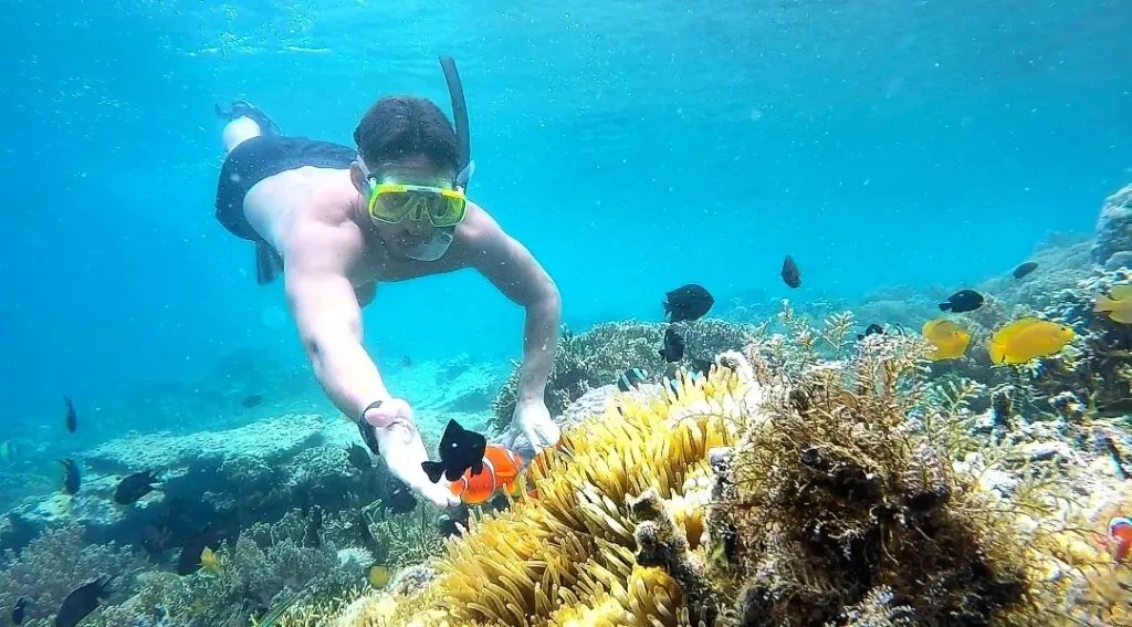 Private boat snorkeling day around Gili Asahan, Gili Gede, Gili Layar, Gili Rengit and Gili Goleng
