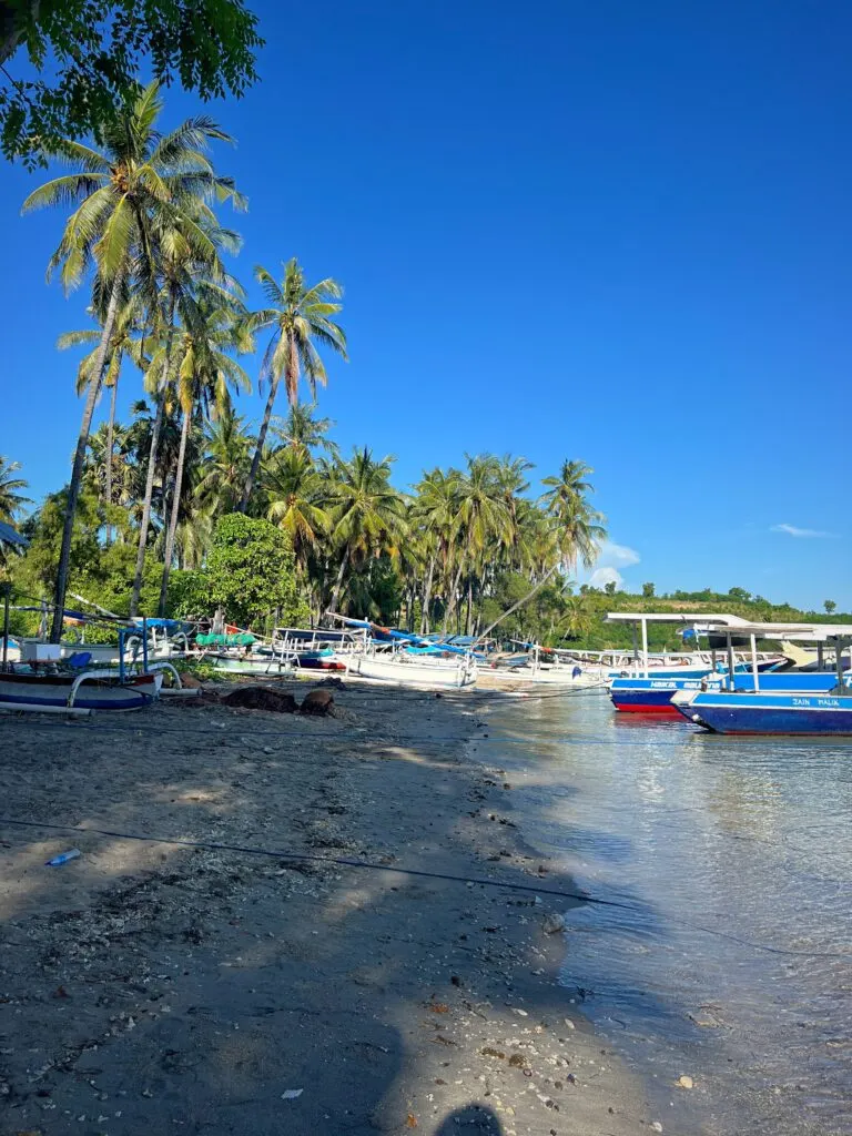 Lombok South Coast Highlights – Private Day Tour — Photo 1