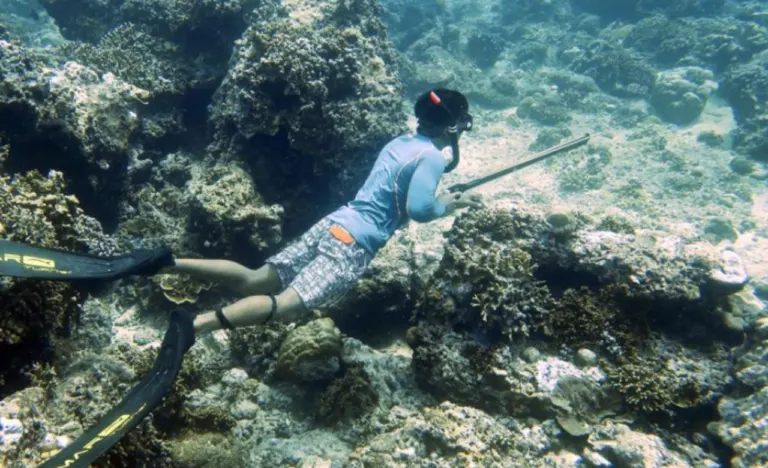 Spearfishing Adventure Enjoy Your Fresh Catch Gili Meno
