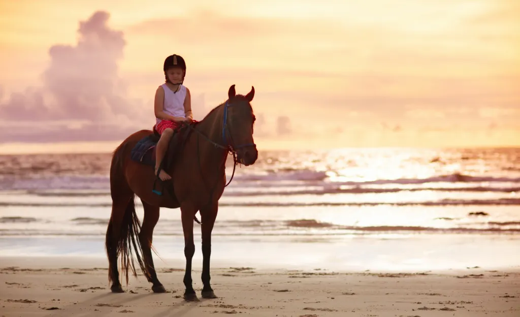 Horse Riding Gili Trawangan