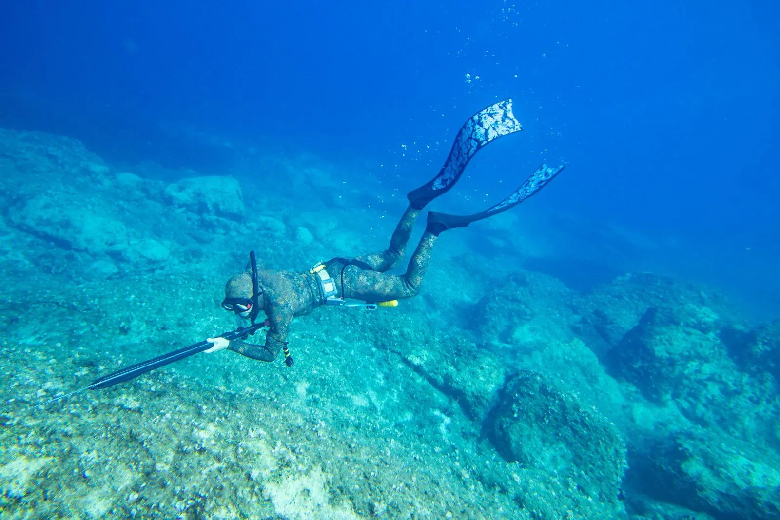 Spearfishing with Catch & Cook Experience Gili Trawangan